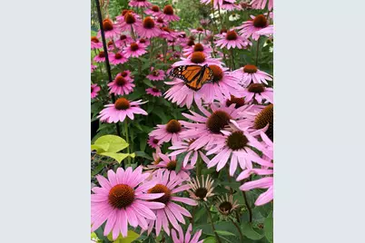 210 6th Street, Mendota, IL 61342 - Photo 20