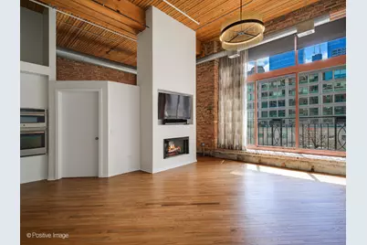 360 W Illinois Street #231, Chicago, IL 60654 - Photo 10