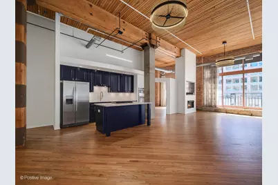 360 W Illinois Street #231, Chicago, IL 60654 - Photo 4