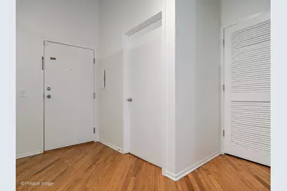 360 W Illinois Street #231, Chicago, IL 60654 - Photo 20