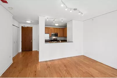 201 N Westshore Drive #503, Chicago, IL 60601 - Photo 10
