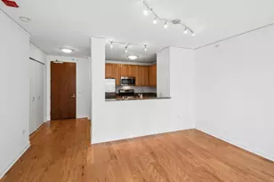 201 N Westshore Dr, Chicago, IL 60601 - Photo 10