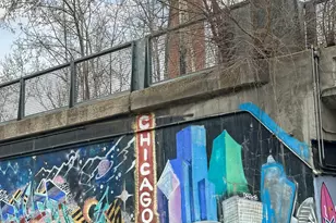 1645 N Central Park Ave, Chicago, IL 60647 - Photo 24