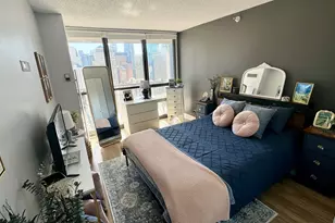 10 E Ontario St, Chicago, IL 60611 - Photo 12