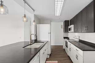 5050 S East End Ave, Chicago, IL 60615 - Photo 8
