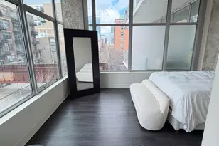 50 E 16th St, Chicago, IL 60616 - Photo 16