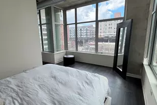 50 E 16th St, Chicago, IL 60616 - Photo 18