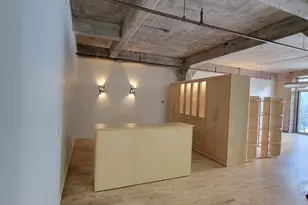 1528 S Wabash Ave, Chicago, IL 60605 - Photo 6