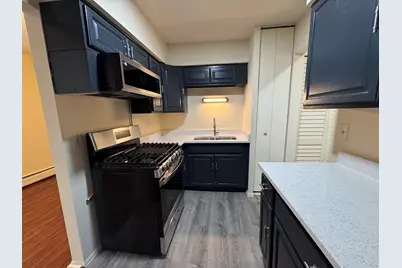 7320 N Rogers Avenue #215, Chicago, IL 60626 - Photo 4