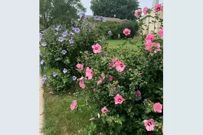 856 Quail Drive, Bradley, IL 60915 - Photo 48