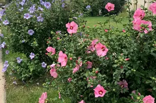 856 Quail Dr, Bradley, IL 60915 - Photo 48