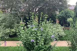 856 Quail Dr, Bradley, IL 60915 - Photo 42