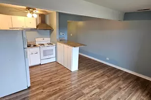 58 Vail Colony, Fox Lake, IL 60020 - Photo 6