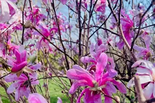 635 Signal Hill Rd, North Barrington, IL 60010 - Photo 64