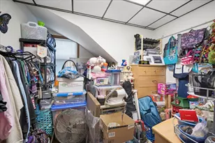 715 N Taylor Ave N, Oak Park, IL 60302 - Photo 12