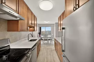 7141 N Kedzie Ave, Chicago, IL 60645 - Photo 6