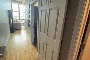 320 E 21st St, Chicago, IL 60616 - Photo 8