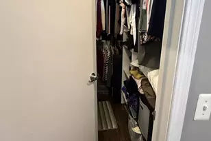 320 E 21st St, Chicago, IL 60616 - Photo 16