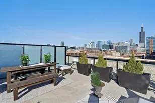 323 S Racine Ave, Chicago, IL 60607 - Photo 34