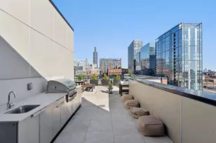 323 S Racine Ave, Chicago, IL 60607 - Photo 40