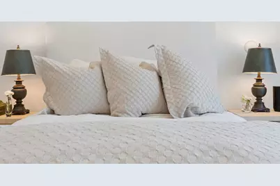 323 S Racine Avenue #PHD, Chicago, IL 60607 - Photo 22