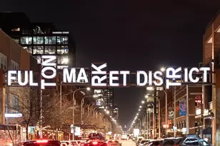 323 S Racine Ave, Chicago, IL 60607 - Photo 46