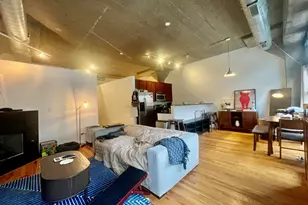 1151 W 15th St, Chicago, IL 60608 - Photo 6
