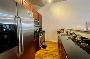 1151 W 15th St, Chicago, IL 60608 - Photo 8