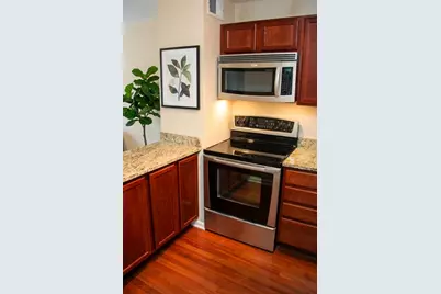 222 E Pearson Street #503, Chicago, IL 60611 - Photo 6