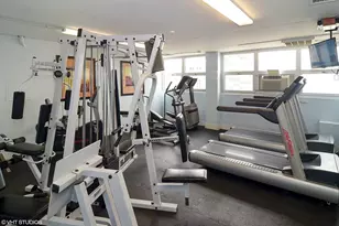 222 E Pearson St, Chicago, IL 60611 - Photo 12