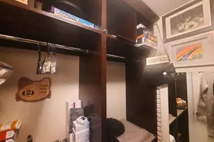 10541 Palos Pl, Palos Hills, IL 60465 - Photo 24