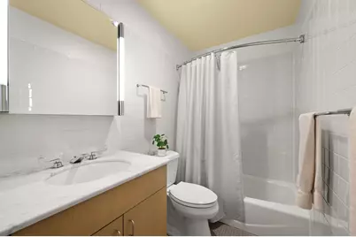 260 E Chestnut Street #4003, Chicago, IL 60611 - Photo 12