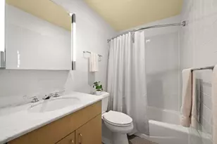 260 E Chestnut St, Chicago, IL 60611 - Photo 12