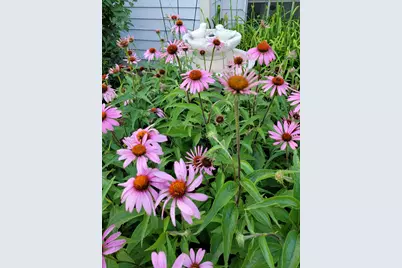 1447 Club Drive #A, Glendale Heights, IL 60139 - Photo 20