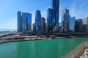 445 E North Water St, Chicago, IL 60611 - Photo 10