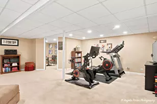 910 Sweetflower Dr, Hoffman Estates, IL 60169 - Photo 32