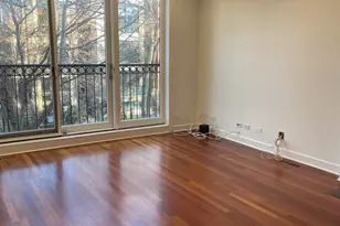 1024 N Honore St, Chicago, IL 60622 - Photo 2