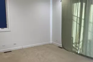 1024 N Honore St, Chicago, IL 60622 - Photo 8