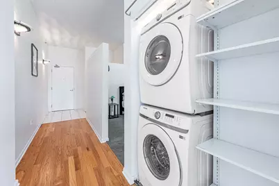 340 W Superior Street #1006, Chicago, IL 60654 - Photo 16