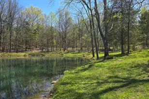 305 Campers Ln, Creal Springs, IL 62922 - Photo 36