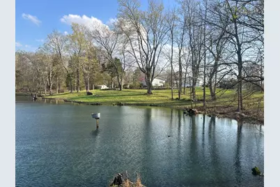 305 Campers Lane, Creal Springs, IL 62922 - Photo 6