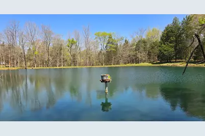 305 Campers Lane, Creal Springs, IL 62922 - Photo 34