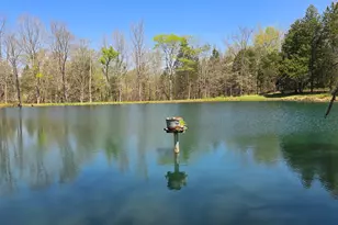 305 Campers Ln, Creal Springs, IL 62922 - Photo 34