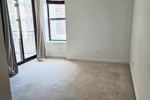 41 E 8th St, Chicago, IL 60605 - Photo 8