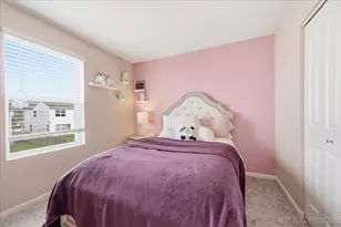 270 Norfolk Ln, Pingree Grove, IL 60140 - Photo 20