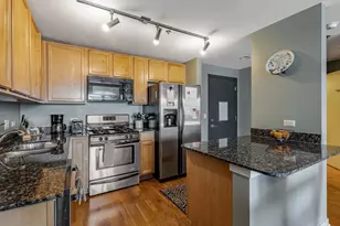 909 W Washington Blvd, Chicago, IL 60607 - Photo 8