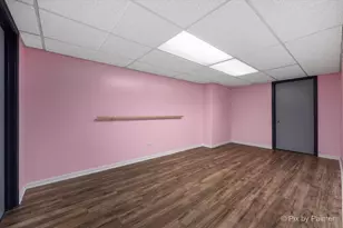 546 W Revere Ln, Palatine, IL 60067 - Photo 28