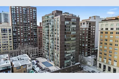 21 W Goethe Street #18GH, Chicago, IL 60610 - Photo 26