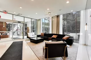 1255 N Sandburg Terrace, Chicago, IL 60610 - Photo 20