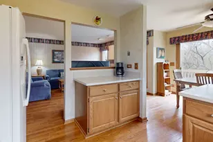 227 Parktrail Ct, Schaumburg, IL 60173 - Photo 10